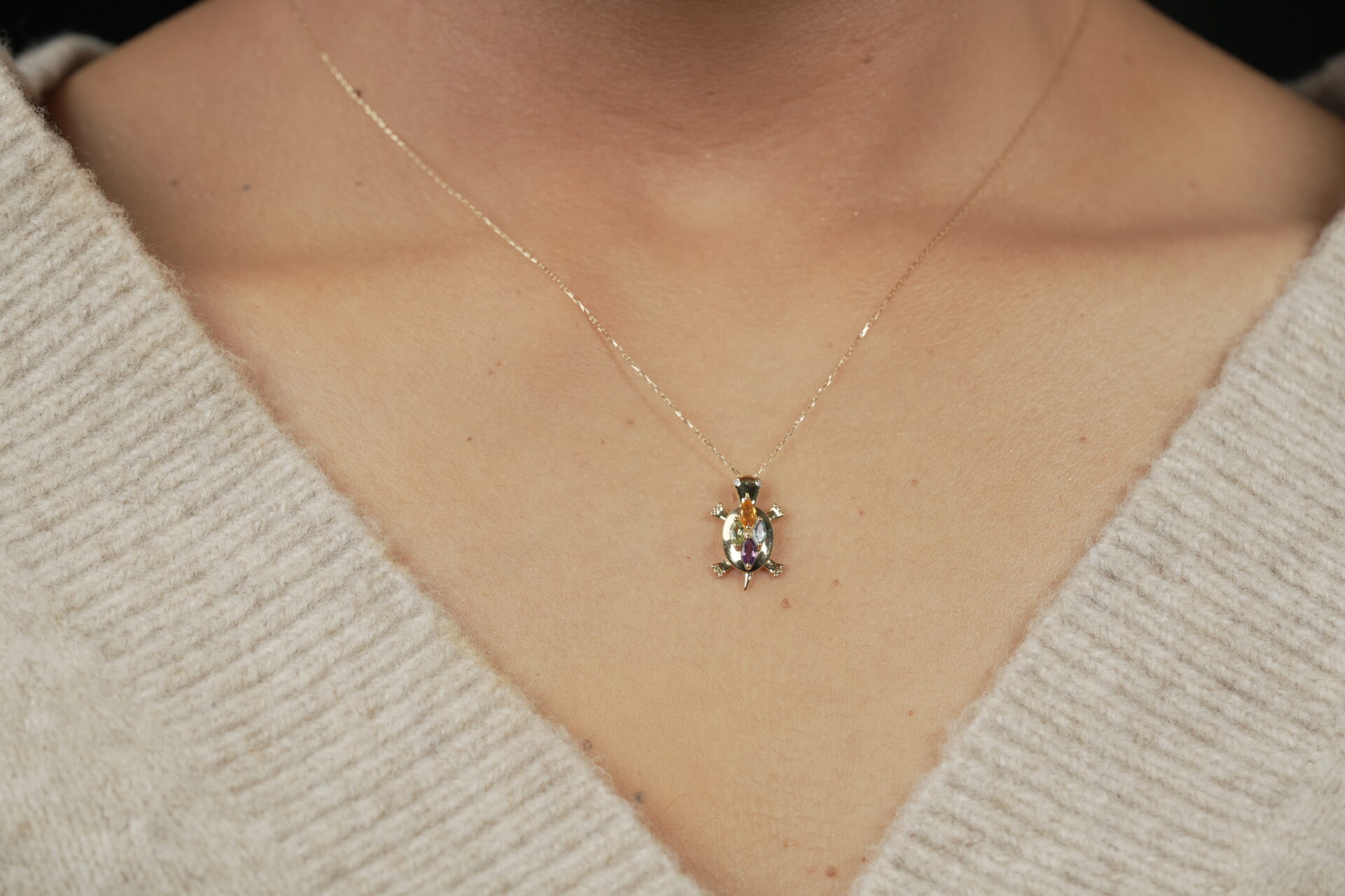 Turtle Necklace Multicolor Turtle Necklace - Image 1